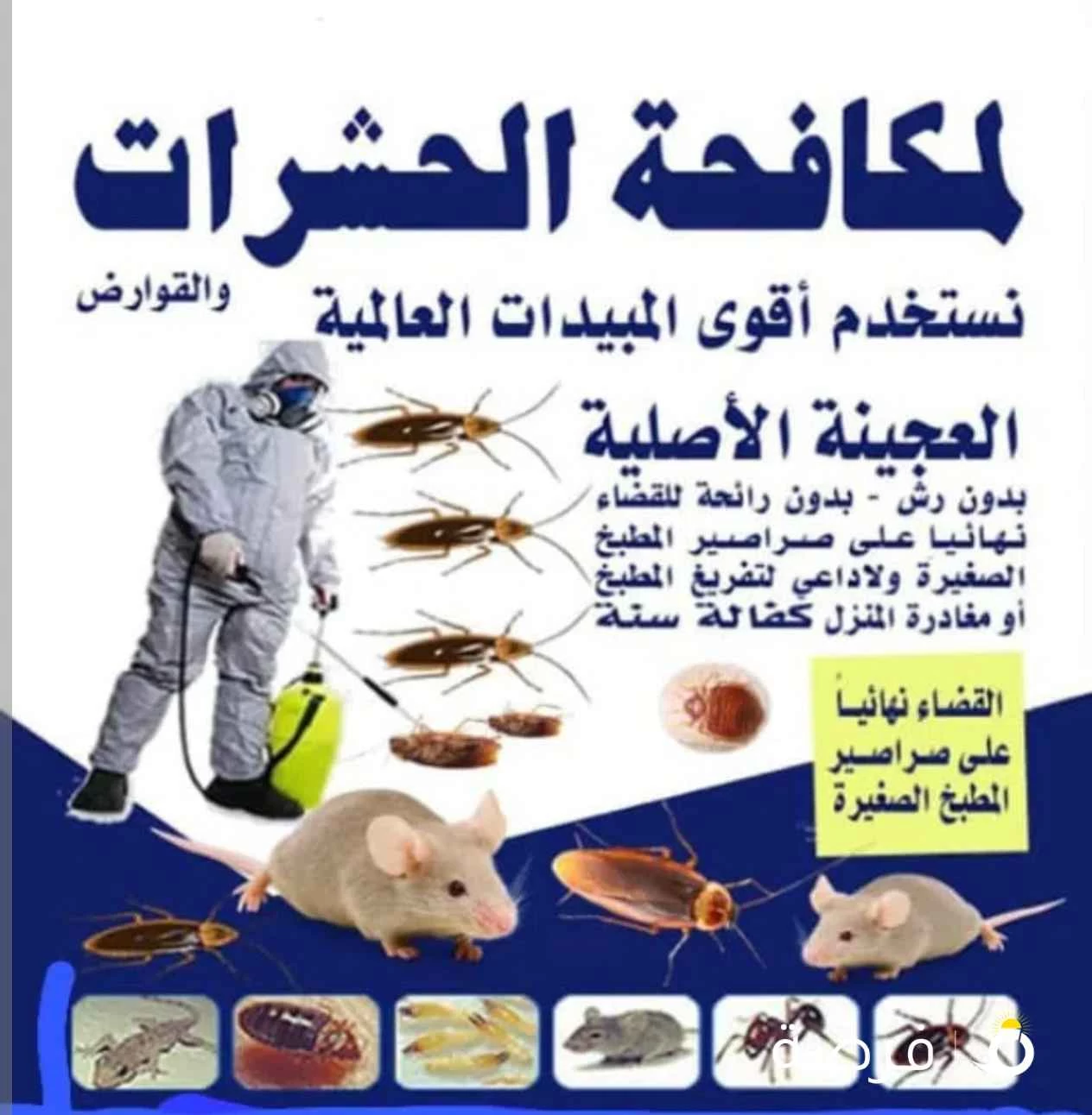 مكافحة حشرات وقوارض جميع مناطق الكويت