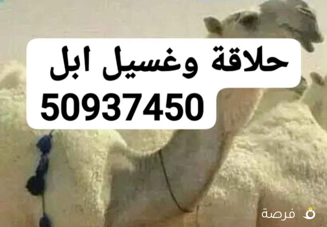 حلاقة وغسيل ابل كل مناطق