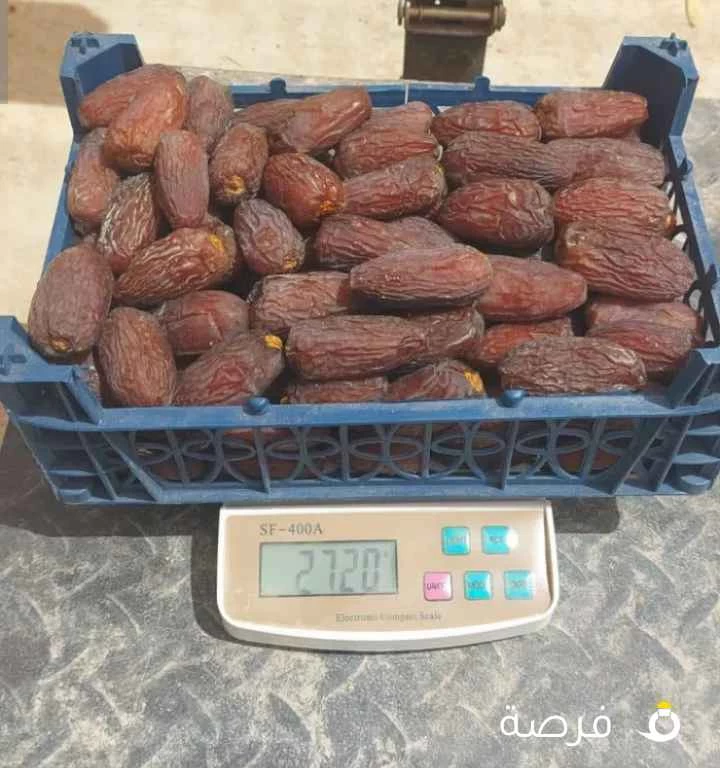 تمر مجدول عماني حجم كبير