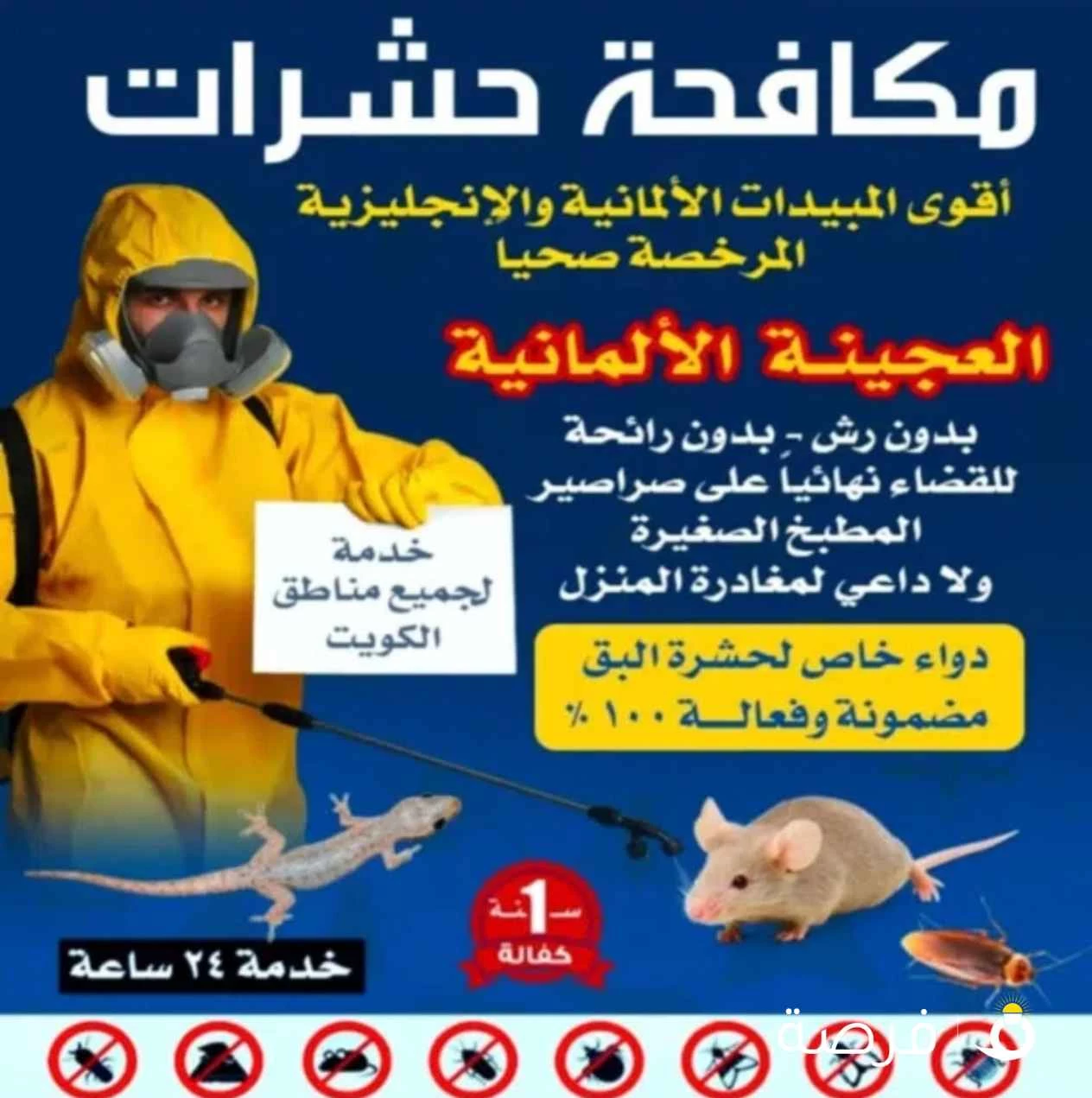 اقوي شركة مكافحة حشرات بلكويت
