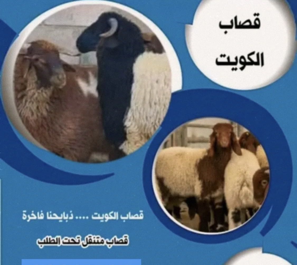 قصاب تحت الطلب جميع المناطق 24ساعة أقل الاسعار