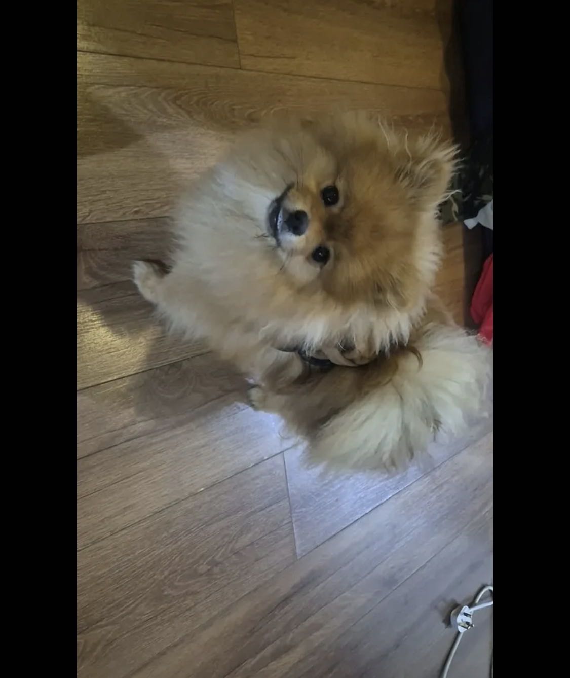 للبيع جلبين بمرانين