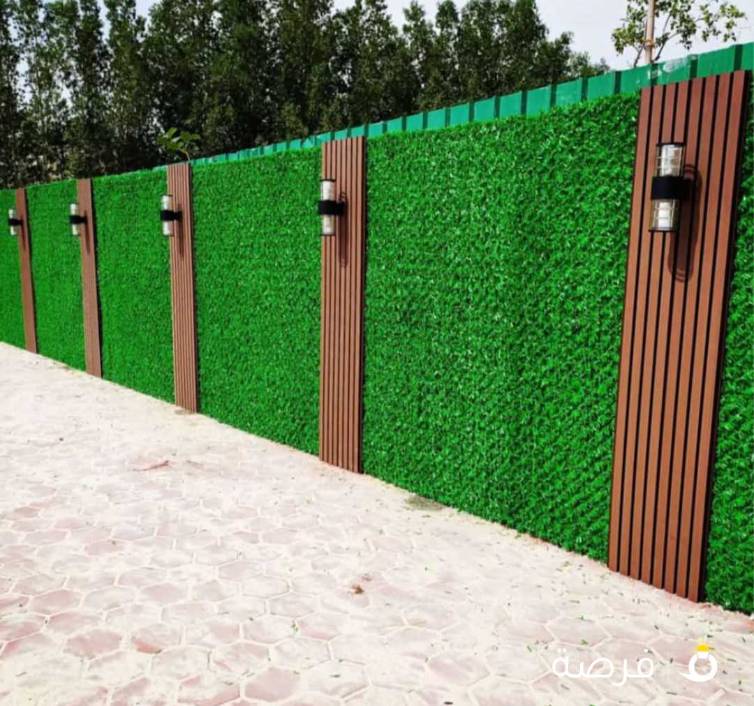 تنسيق حدائق الكويت 🇰🇼 #ثيل_صناعي #سياج_العشب_الصناعي #ملاعب_رياضية #القبس_صحة #الدبوس #كويتي #كويتى_وافتخر