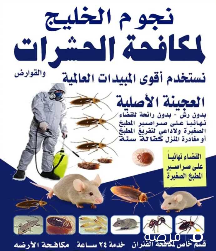 شركة مكافحة حشرات وقورض ارخص الاسعار مبيدات انجليزية والمانيه والعجينه الاصليه كفاله سنه
