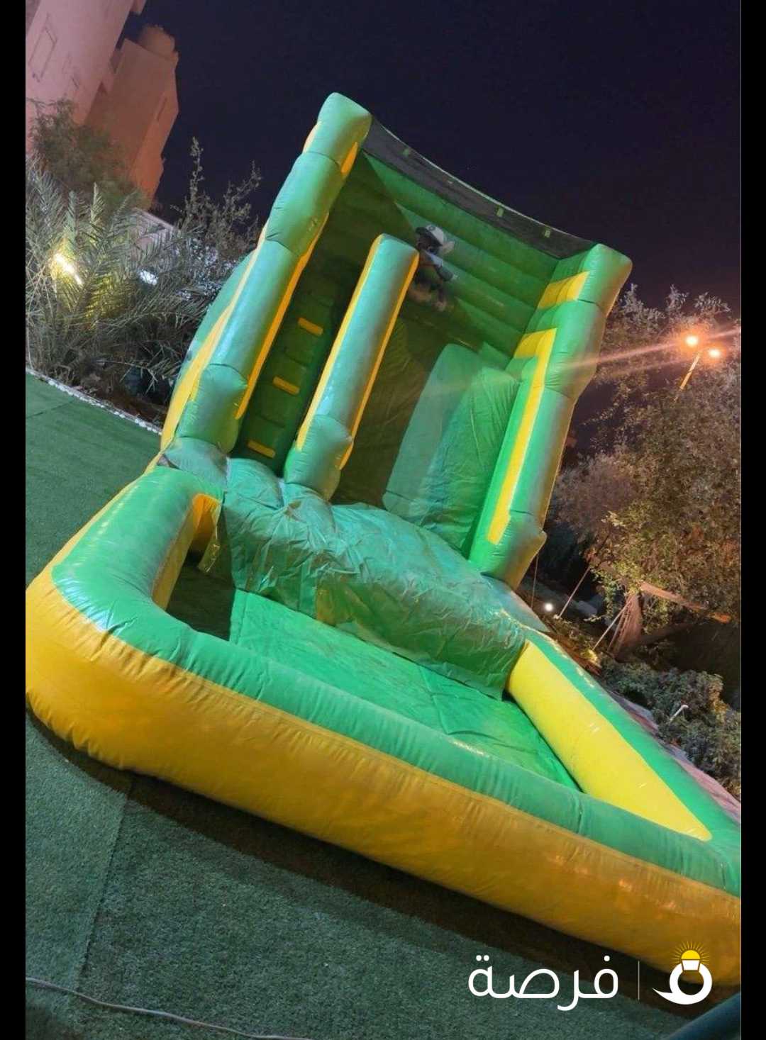 نطاطيات مائيه