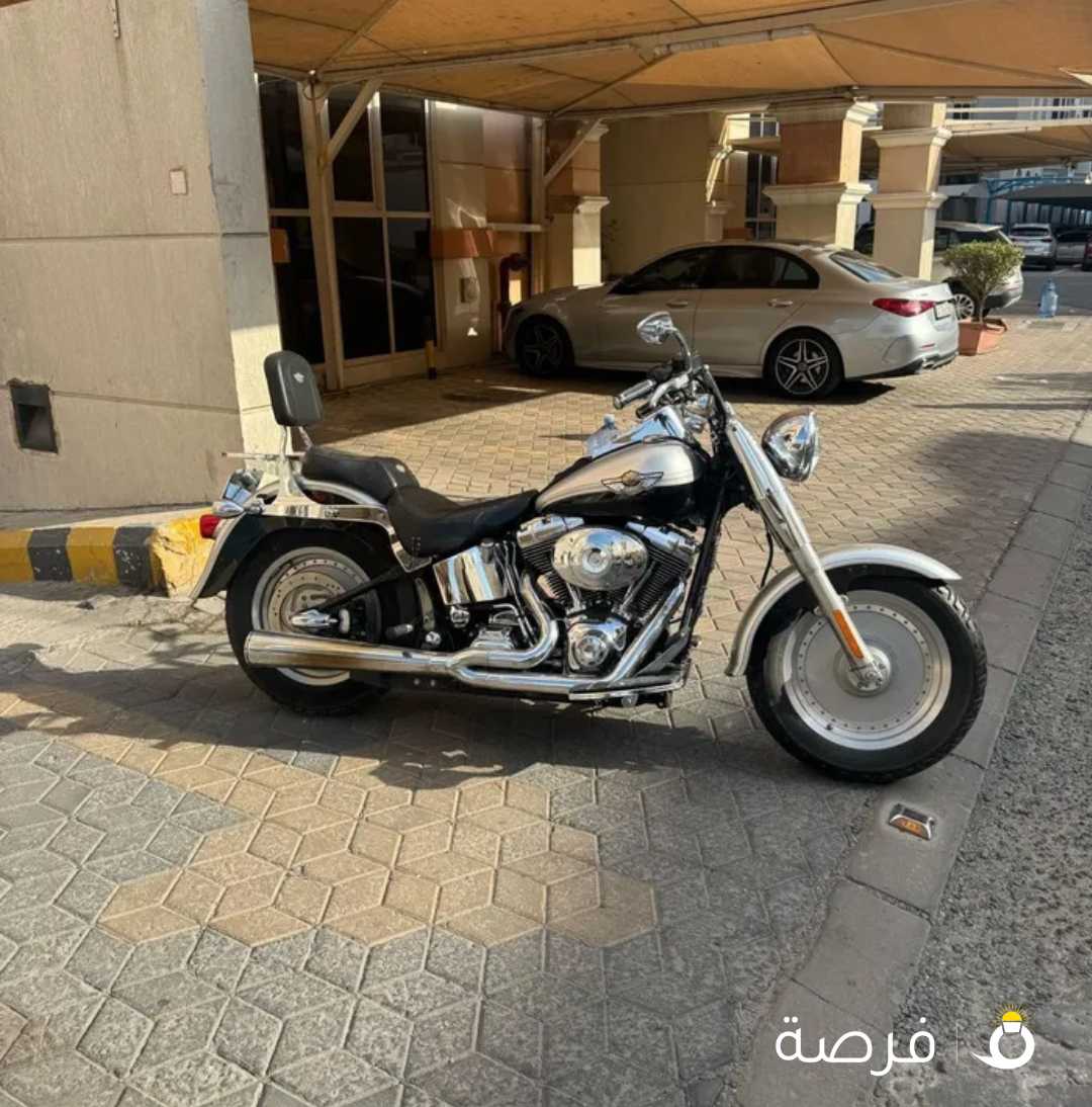 هارلي فات بوي 2003 نظيف جداااا نادر ماشي 25 الف فقط مستورد من امريكا