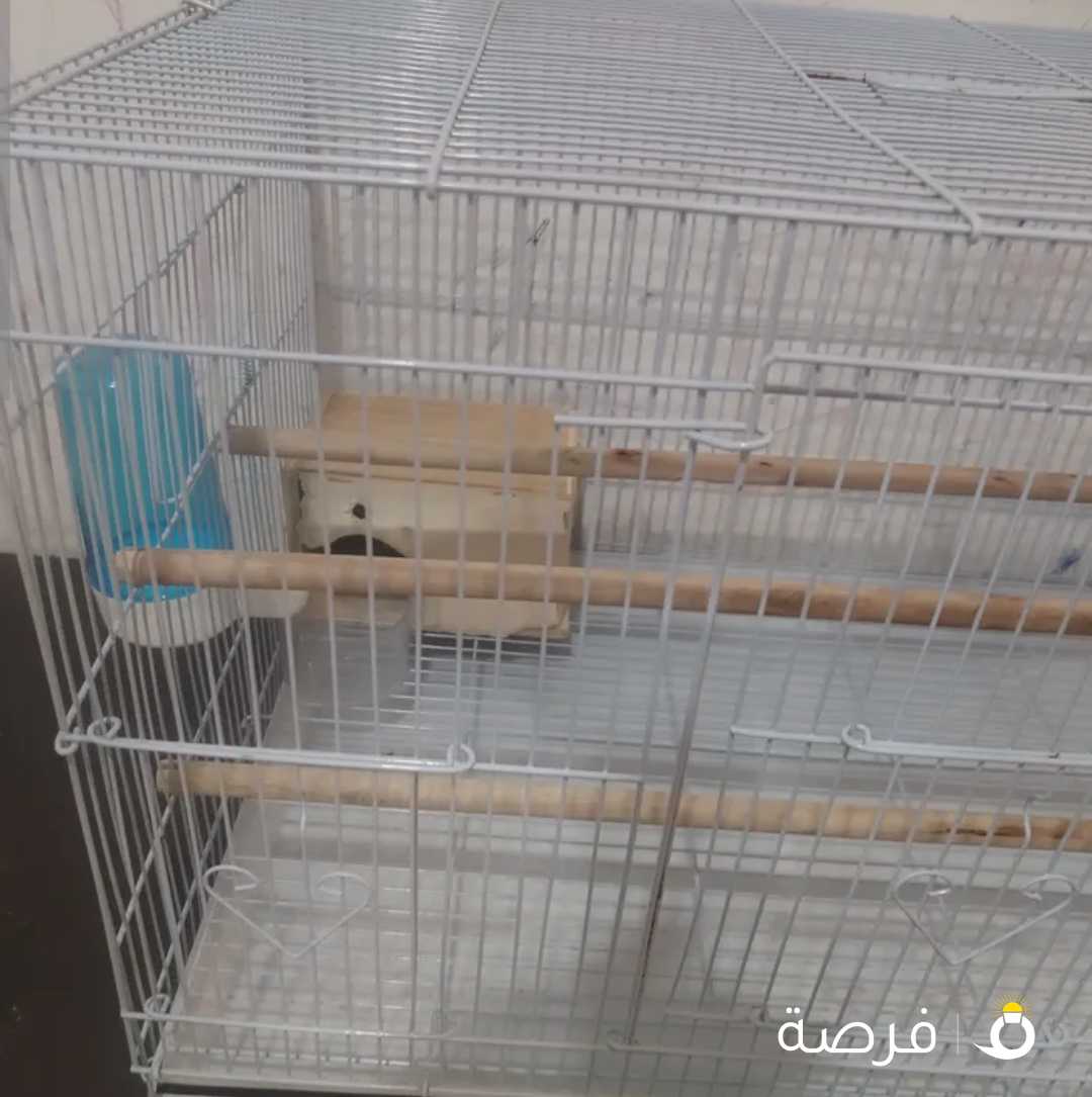 قفص طيور كامل الاغراض يسع الي 5 طيور
