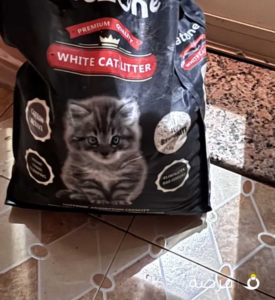 اكل قط على وحجم مناسب