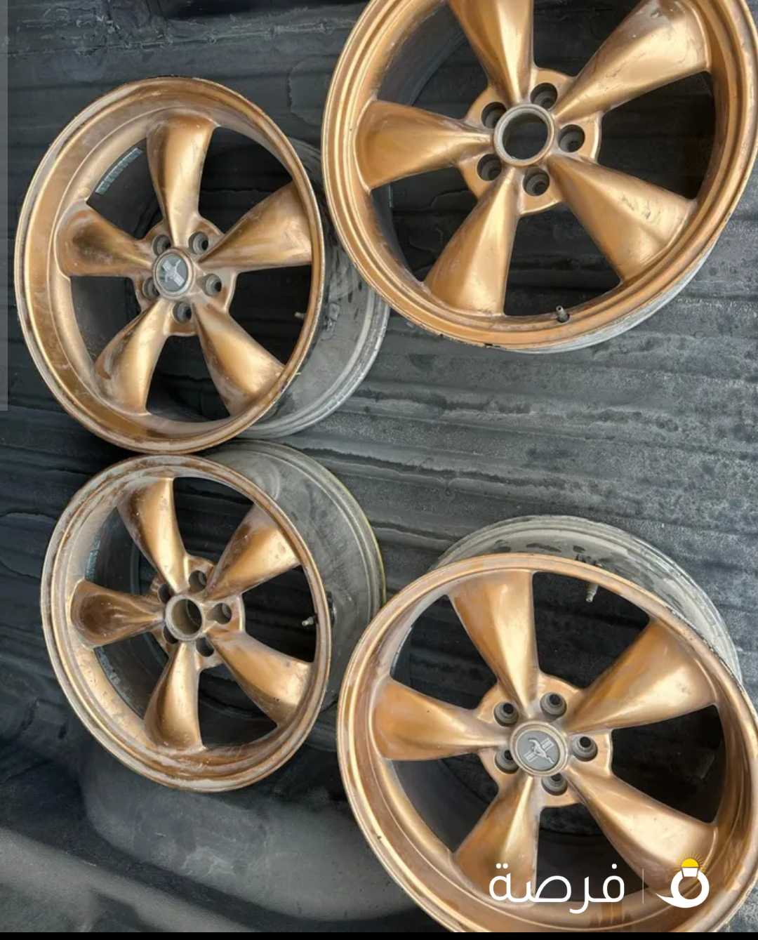 رنقات موستنق عرض. وعرضين انضاف