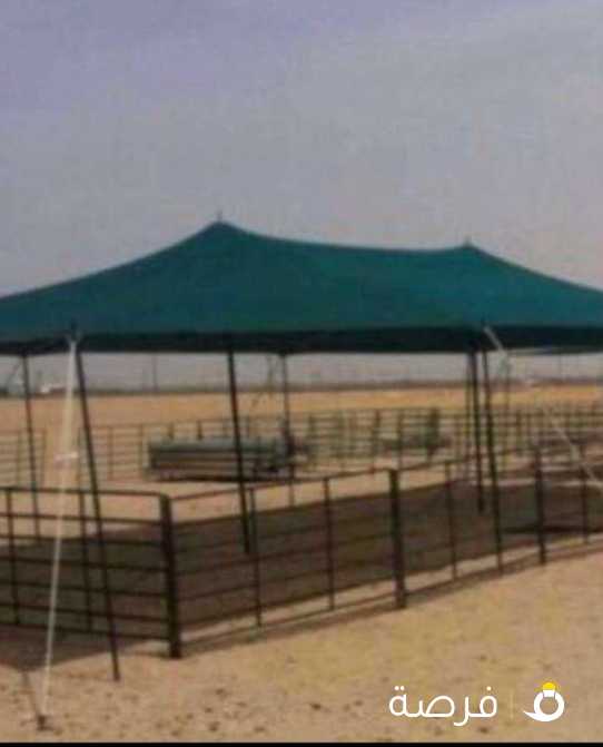 بيت غنم ومظلات