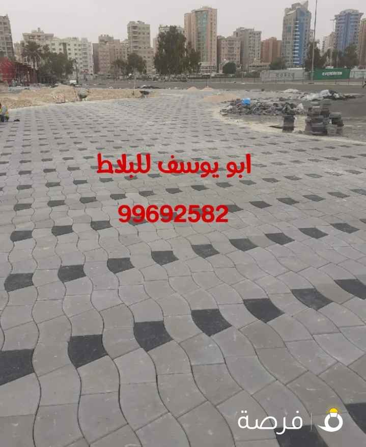 مقاول بلاط متداخل وكربستون وتنسيق الحدايق بأقل الأسعار تسليم وزارة