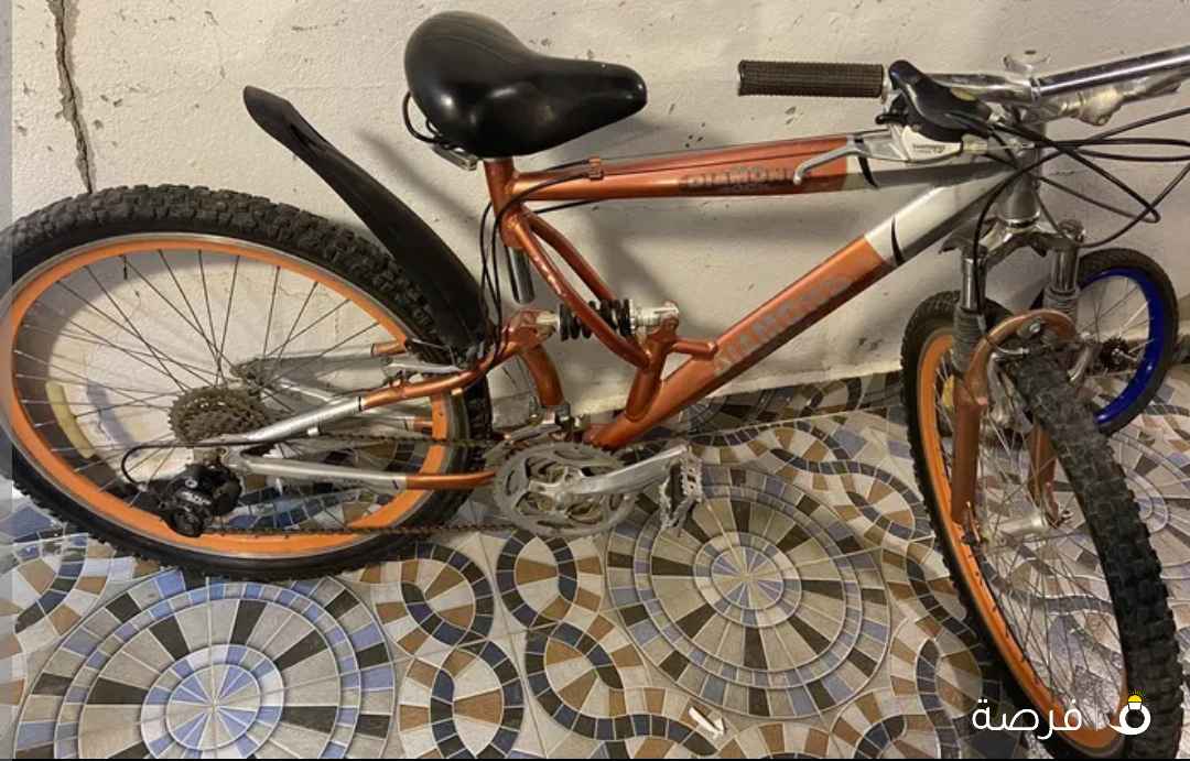 قاري مقاس 28 بسعر جيد