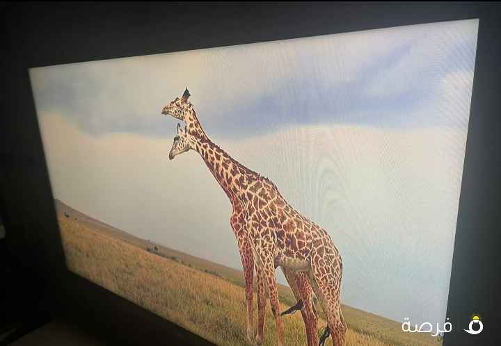 Lg 32 بوصه مستعمل استعمال خفيف بدون اي كسر معه