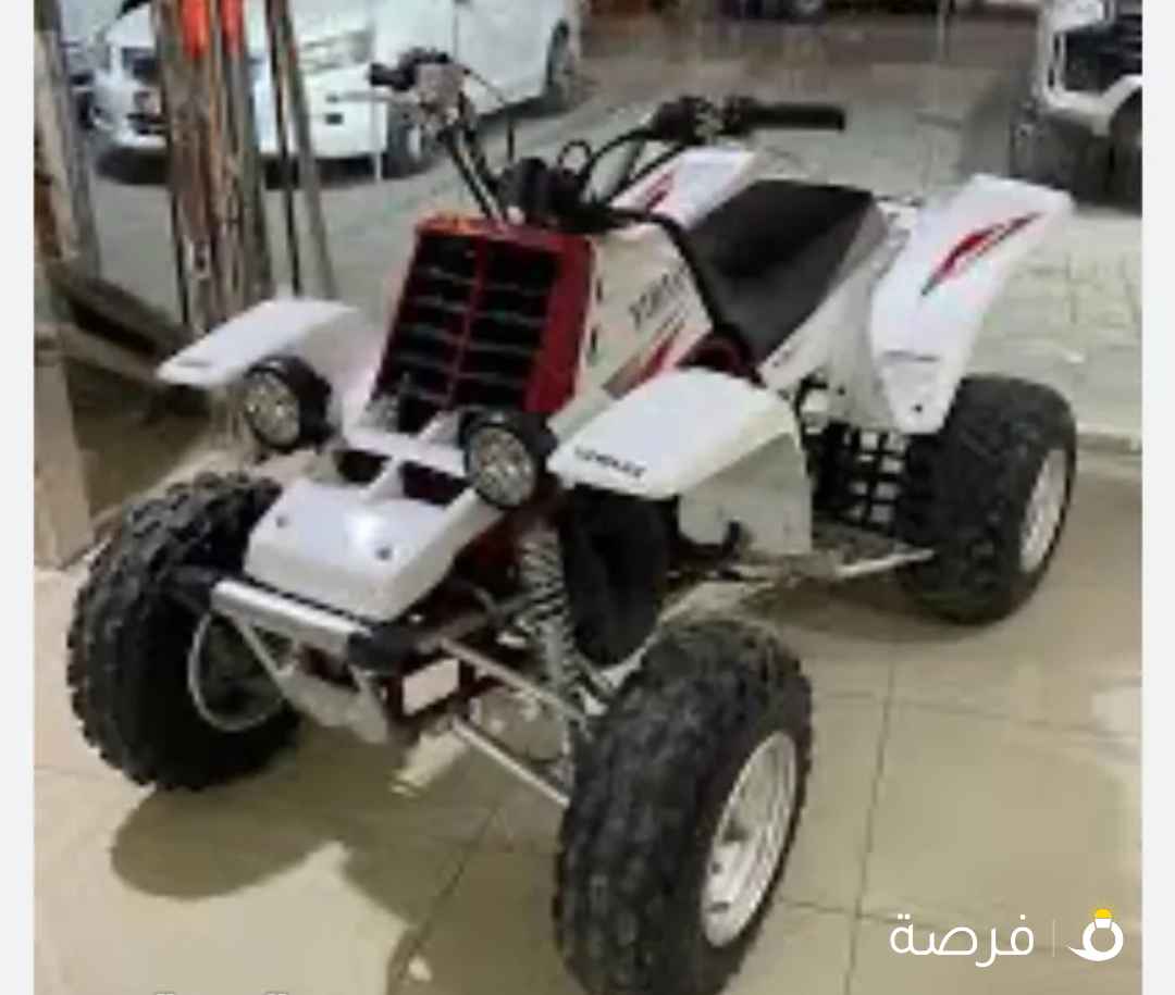 مطلوب بانشي