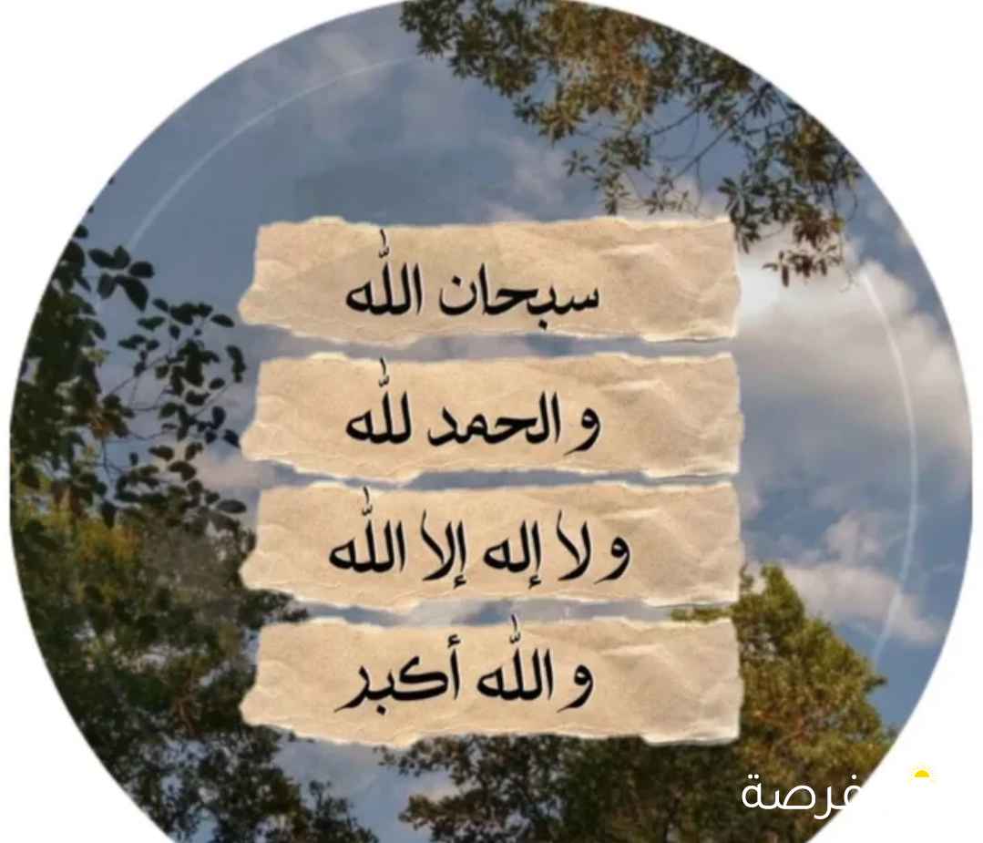 سنجاب طائر لونه ابيضّ للبيع 20 مع القفص وألعابه بدون توصيل