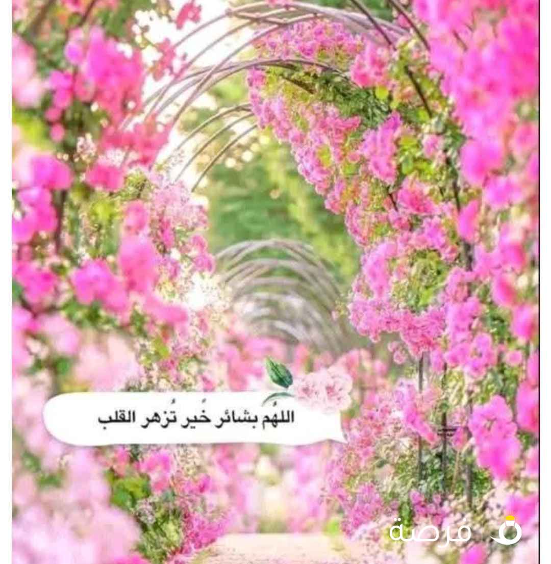 بائع ابحث عن عمل خبره 7سنوات في مجال المبيعات