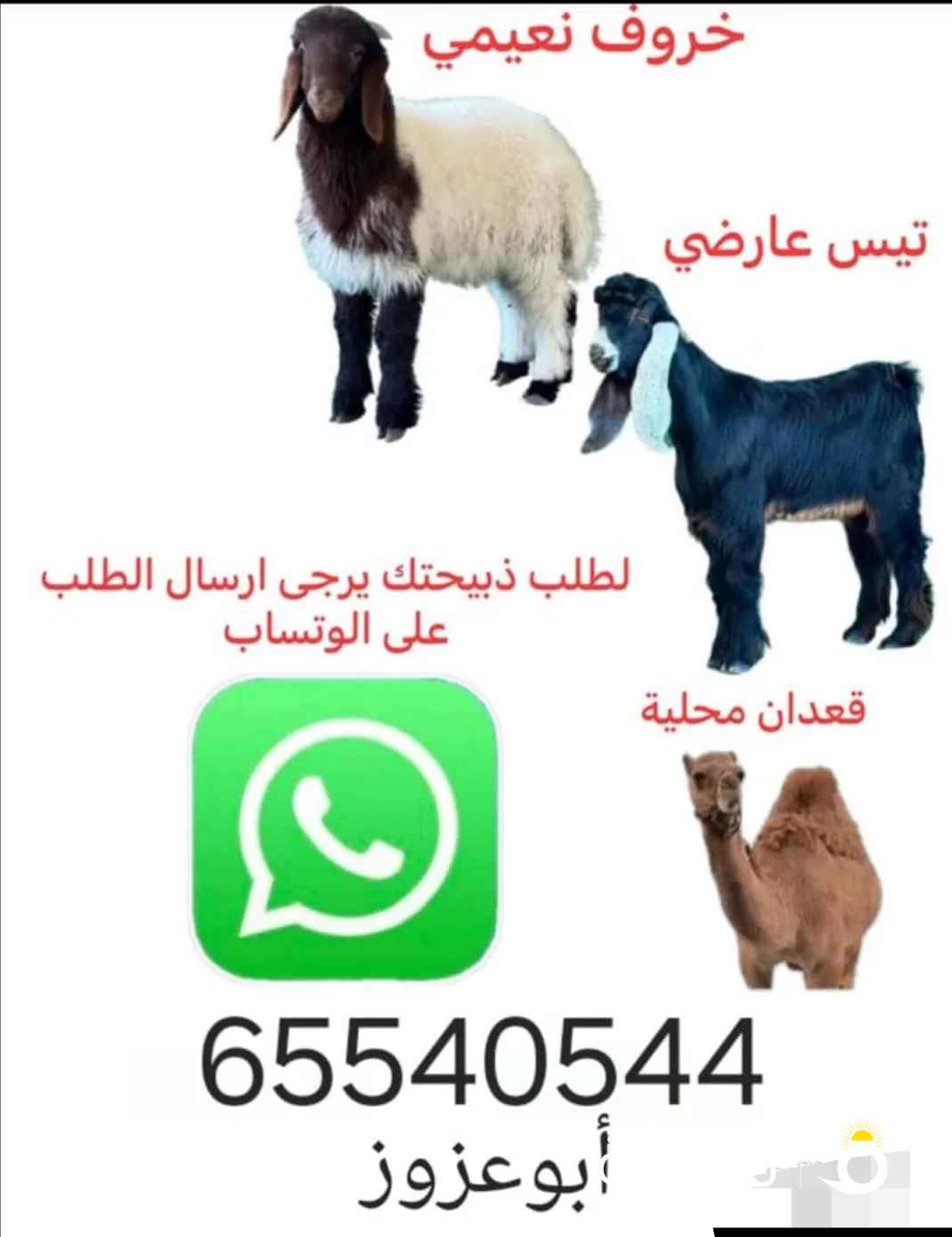 ذبائح نعيمي محلي