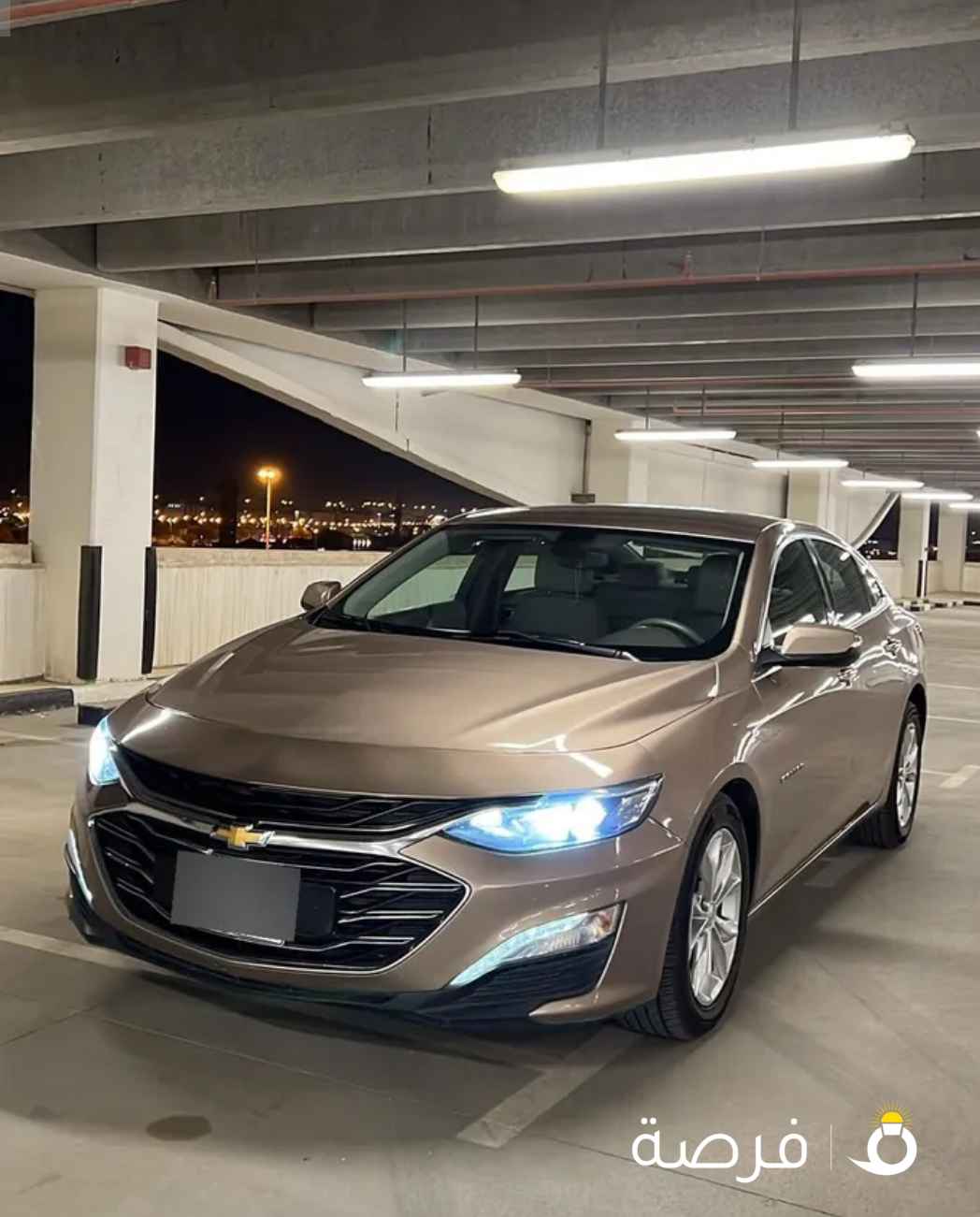 2019 شفر ماليبو وكالة الغانم