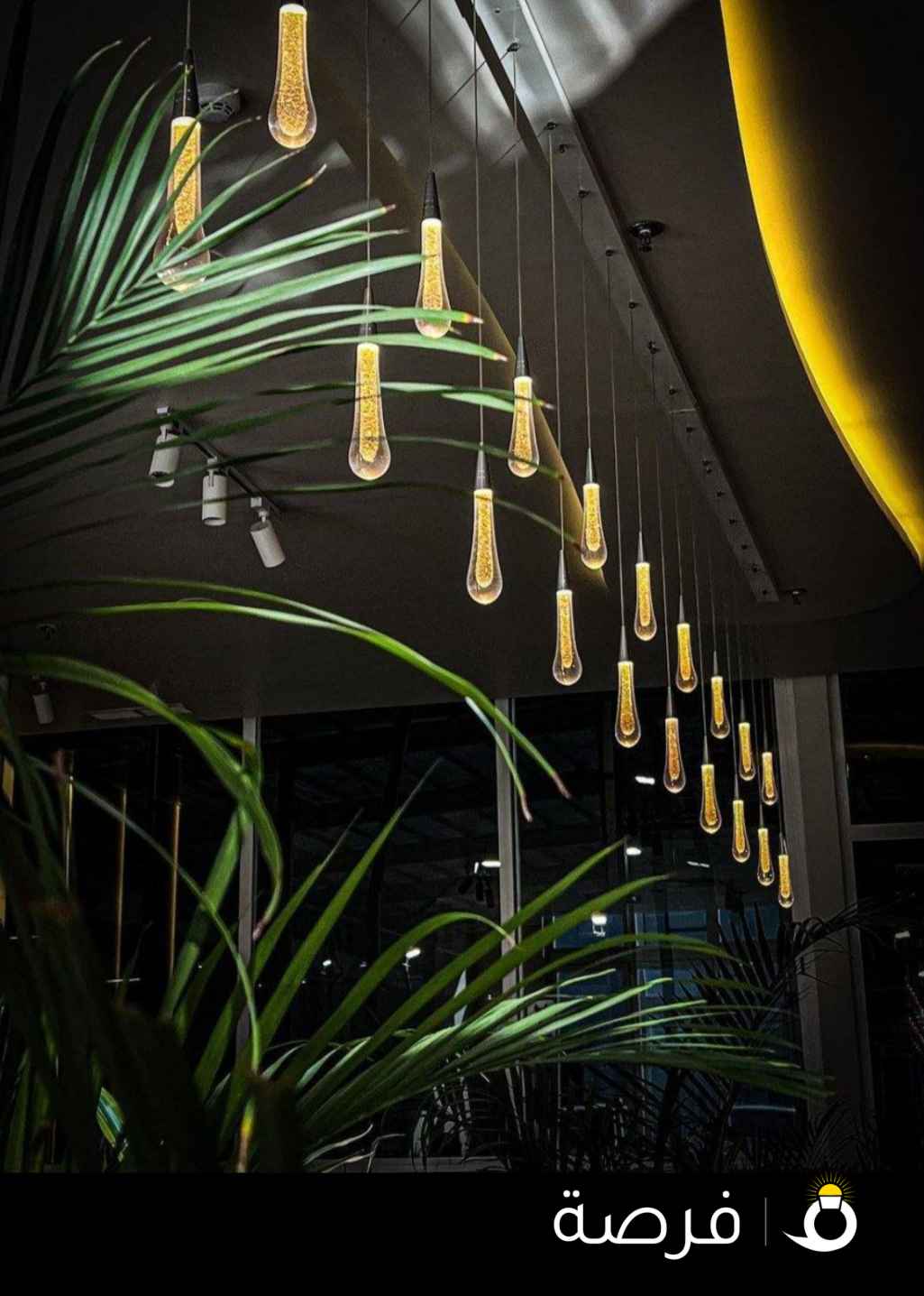 مطلوب موظفه