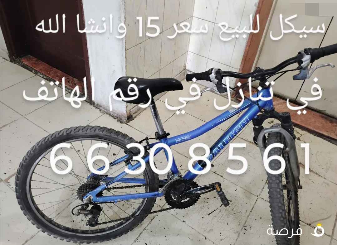 محمد قاسم محمدالز عبي