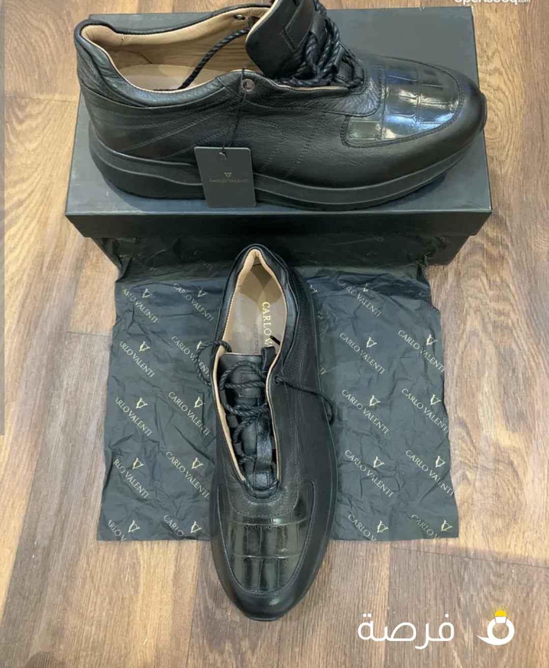 كارلو فالنتي جديد