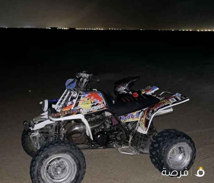 مطلوب بانشي