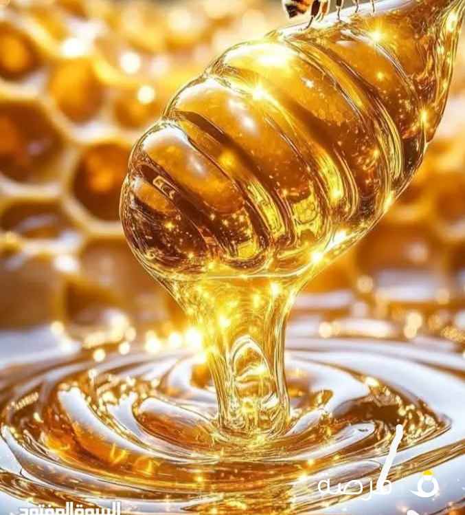 عسل نحل من اجود الانواع الموجوده ف السوق وتحدي