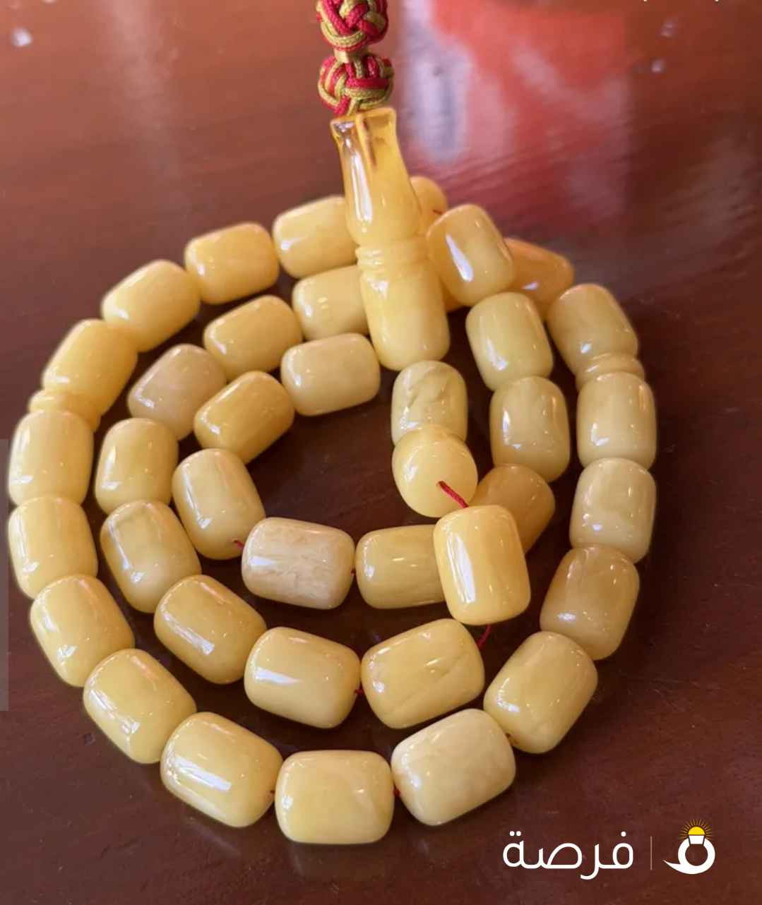 كهرب بولندي