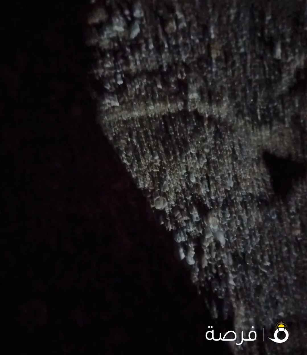 للبيع حميميج مدرب