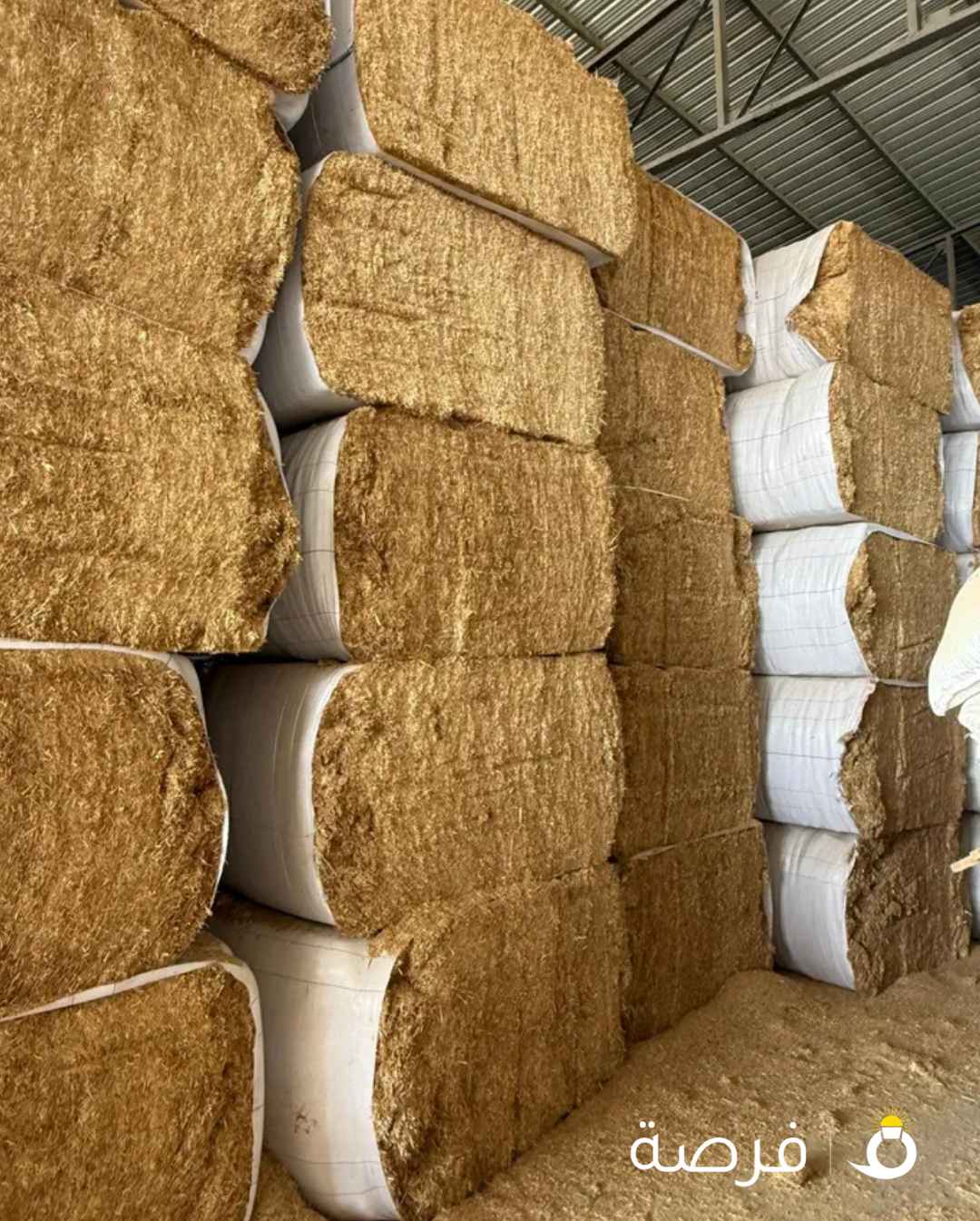 Fresh Tibin (Animal Feed) – Imported from Pakistan – 520 KG Bales