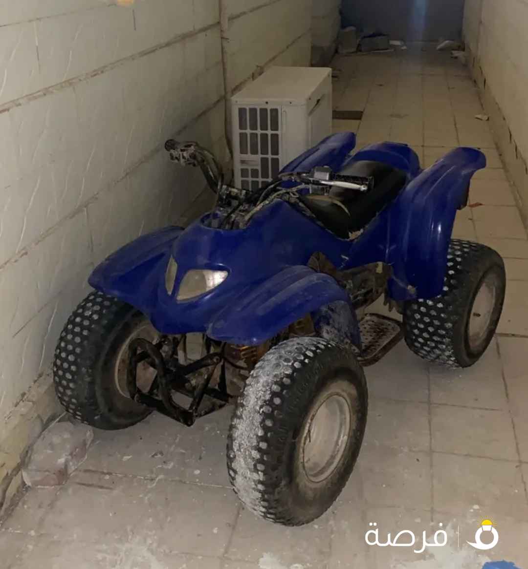 للبيع بقي عميري حجم 100