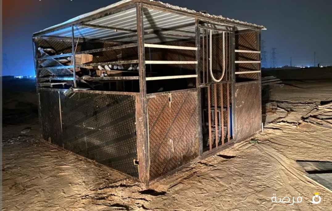 بنجرة خيل مستعمله مقاس 3.8*3.8