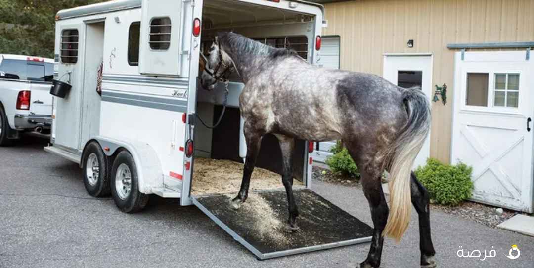 متوفر لدينا نقل خيول