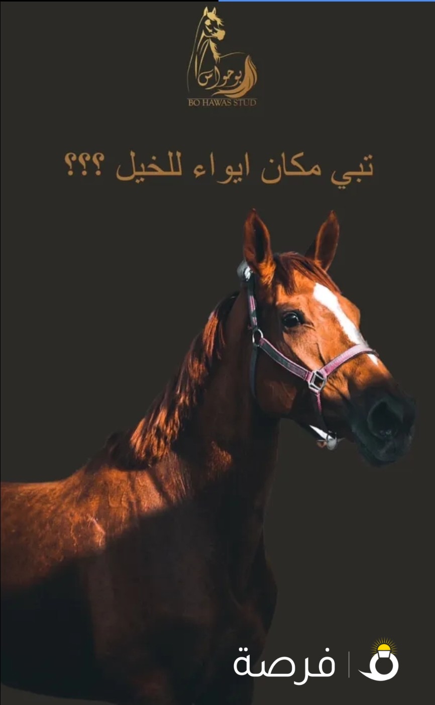 مربط بوحواس