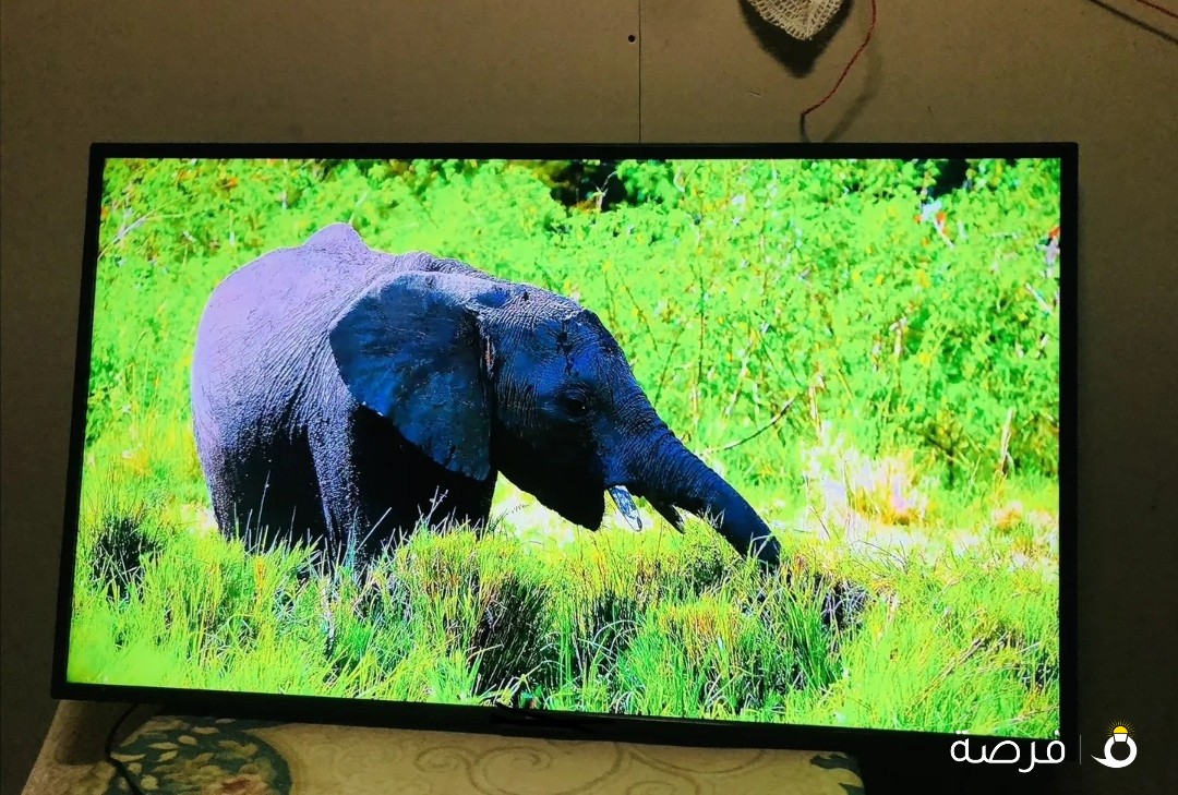 Wansa 65 inch LED TV