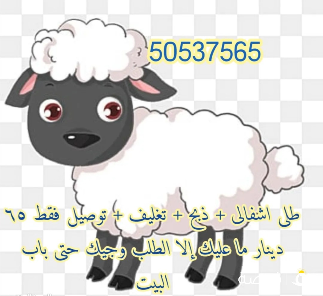 ذبحتك تجيك لباب البيت