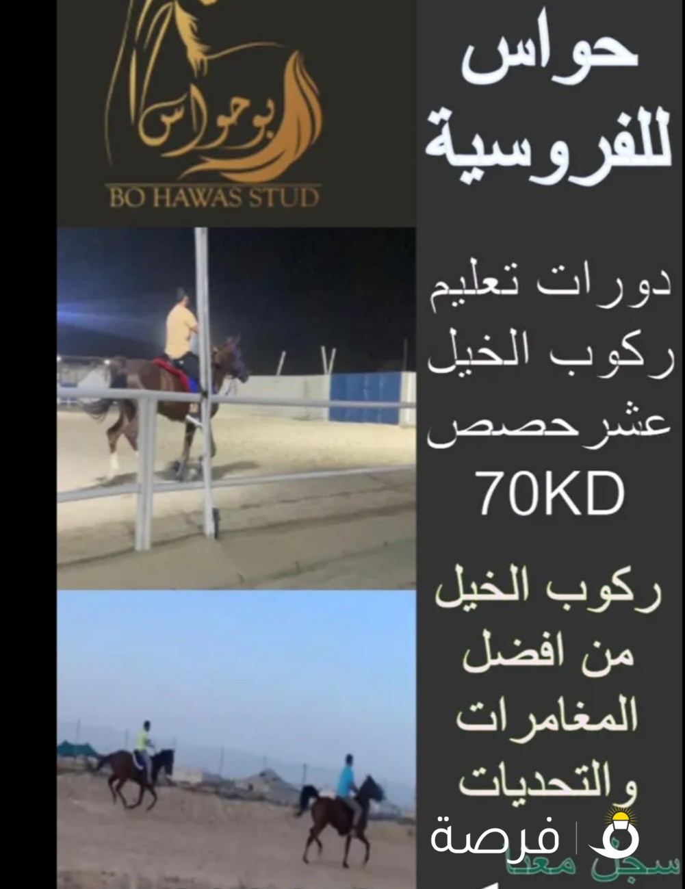 مربط بو حواس للفروسية دورات تعليم ركوب الخيل