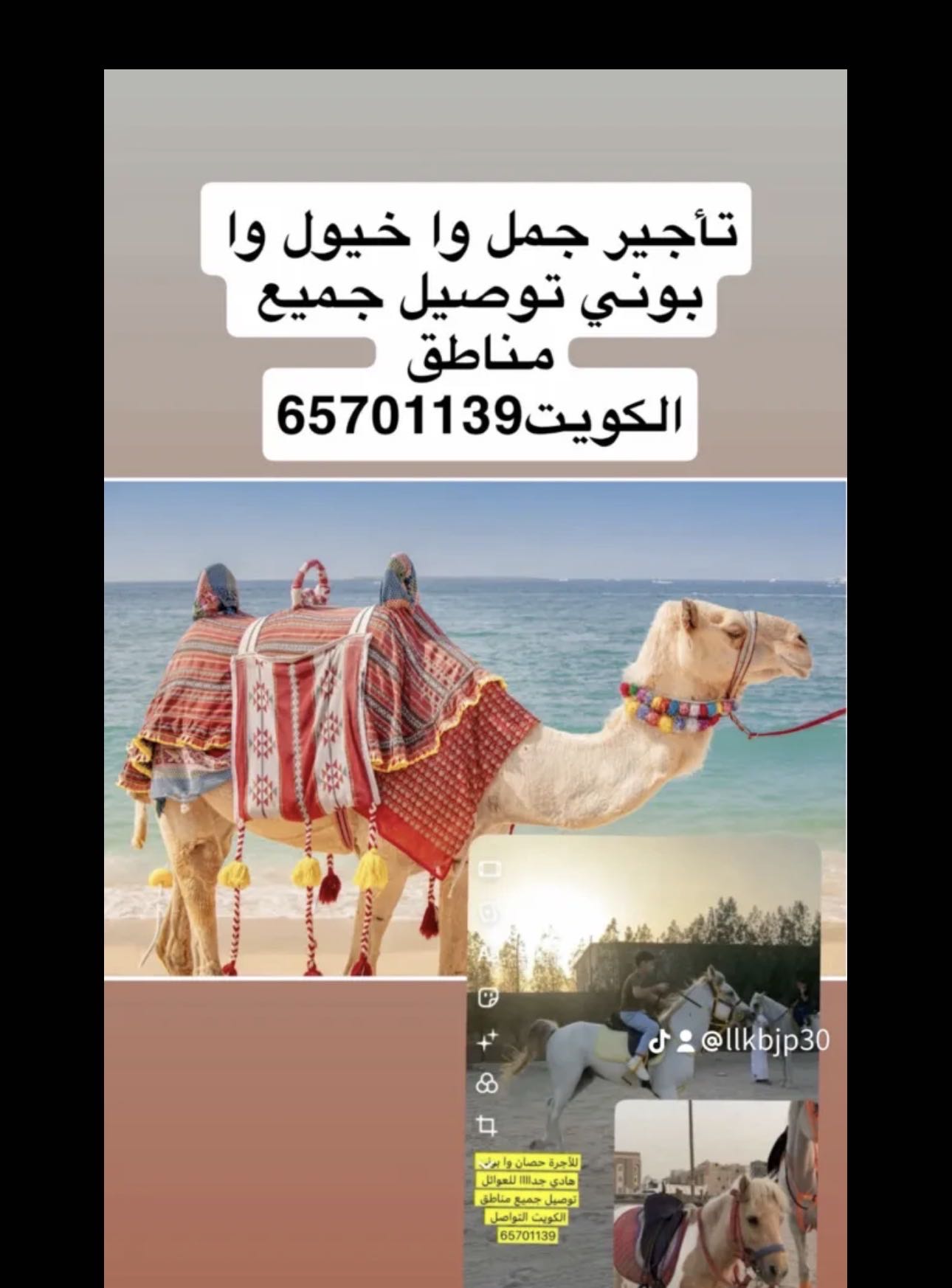 توصيل جميع مناطق الكويت