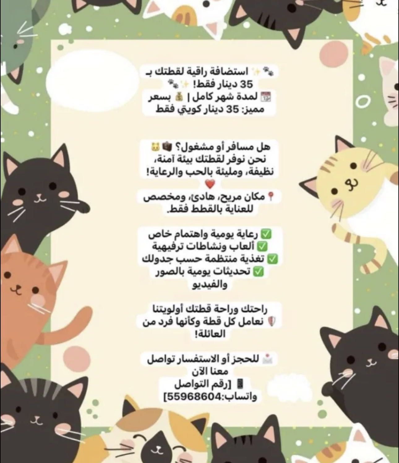 يوجد لدينا استضافة قطط أثناء السفر 35