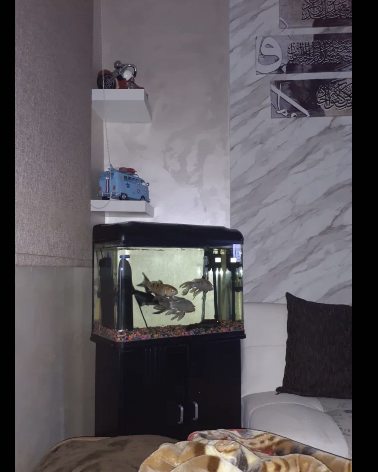 حوض سمك كامل نظيف