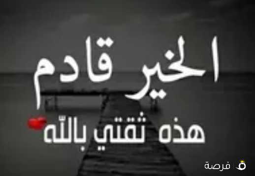 مطلوب مصمم فوتوشوب علي دراية عالية وخبره لا تقل عن 6 سنوات للعمل علي اعلانات وادارة صور موقع