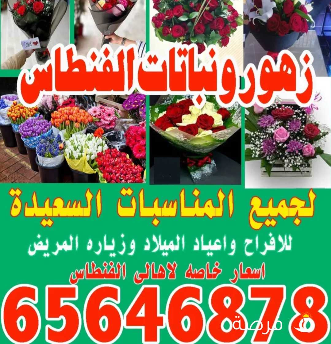 زهور ونباتات الفنطاس