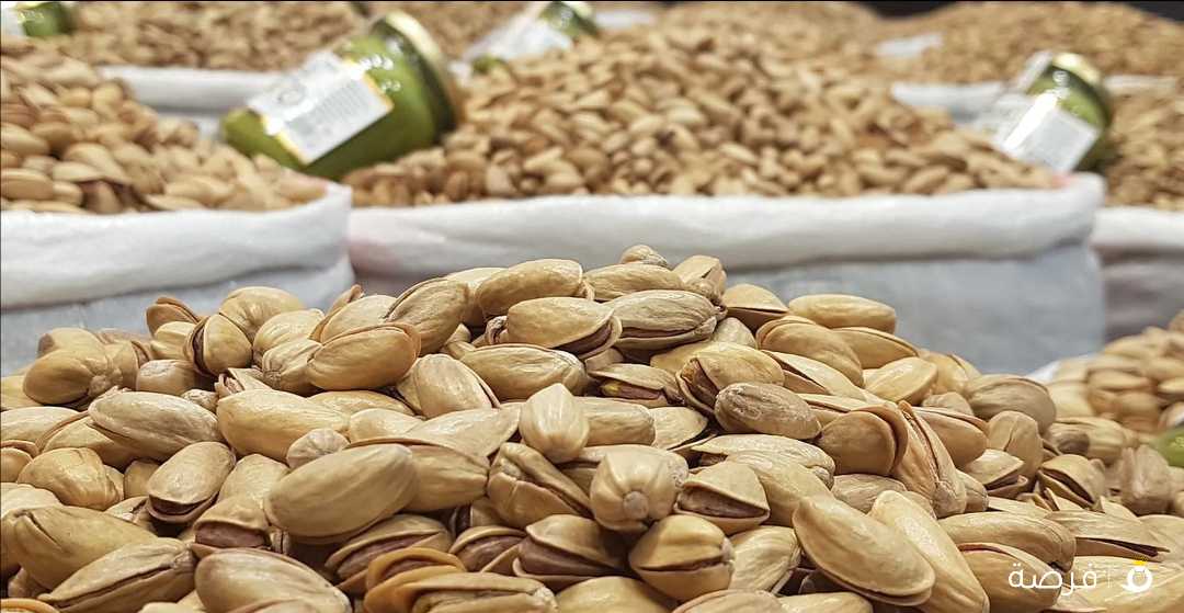 Iranian pistachio available in bulk