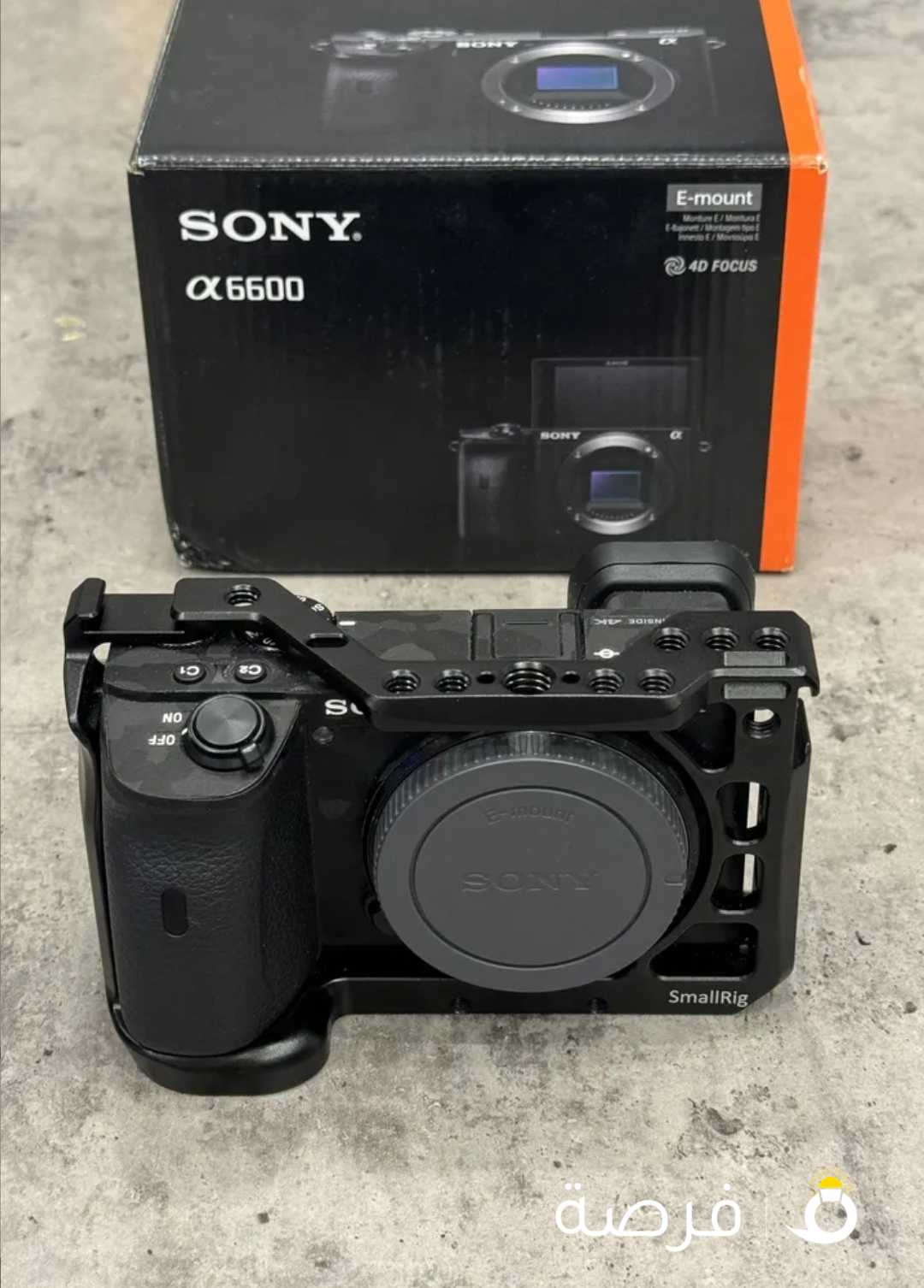 Sony a6600