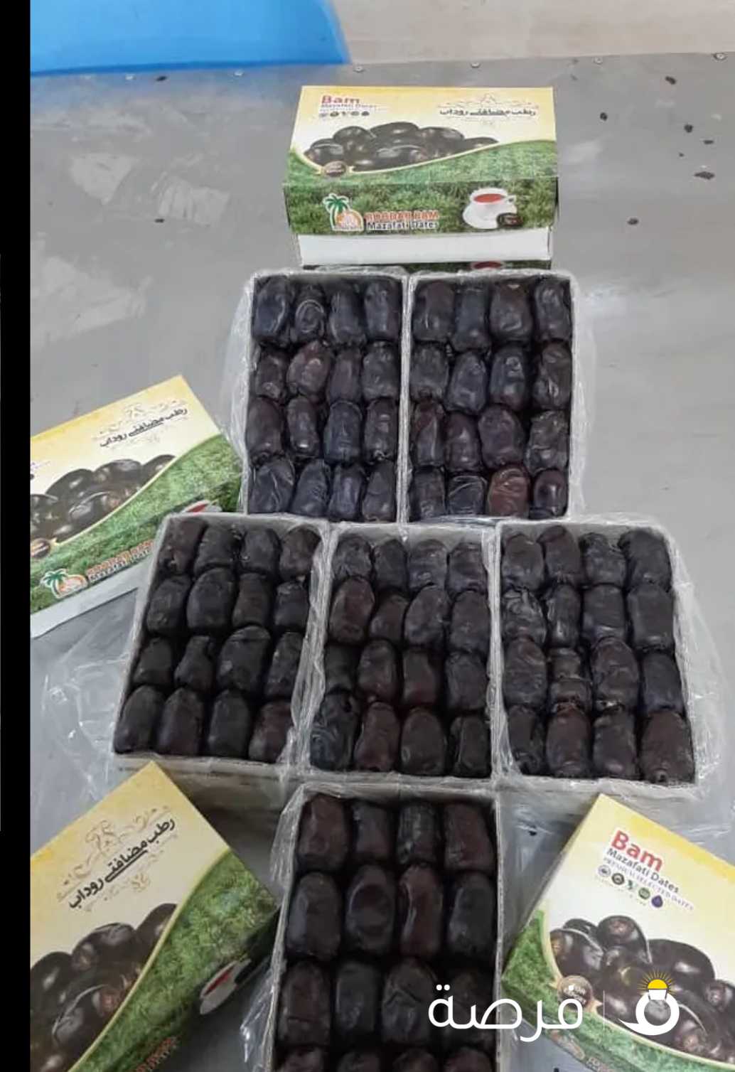 Iranian dates