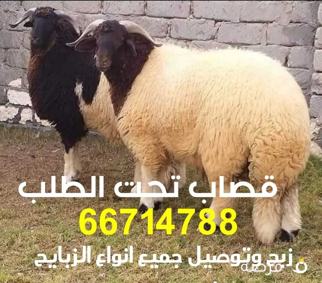 قصاب تحت الطلب