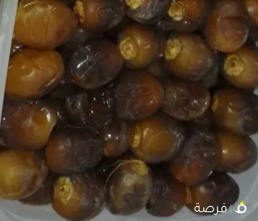 Dates of Ghardaia