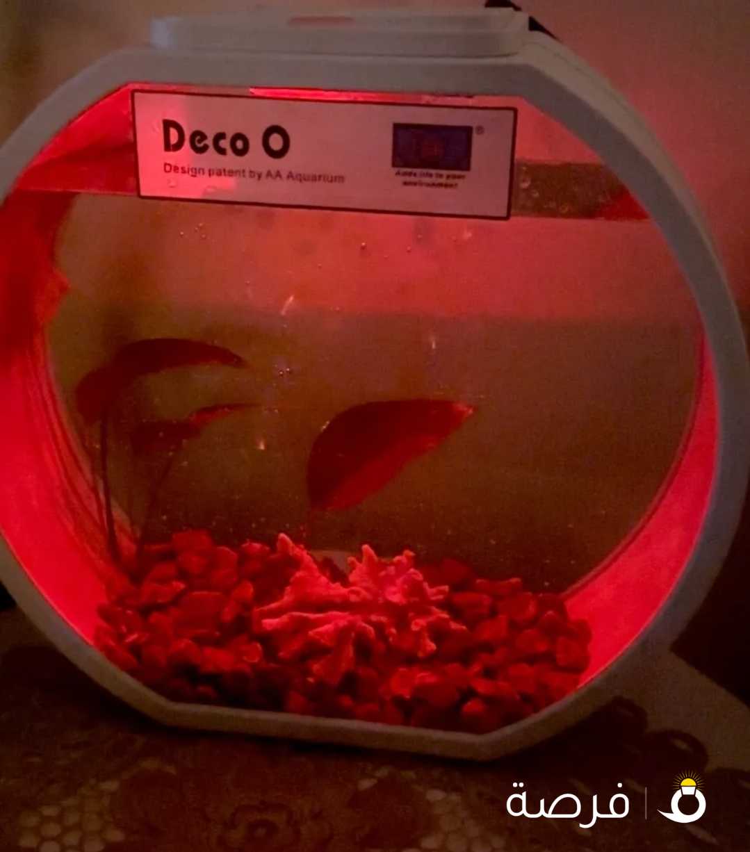 حوض سمك صغير Deco Mini aquarium