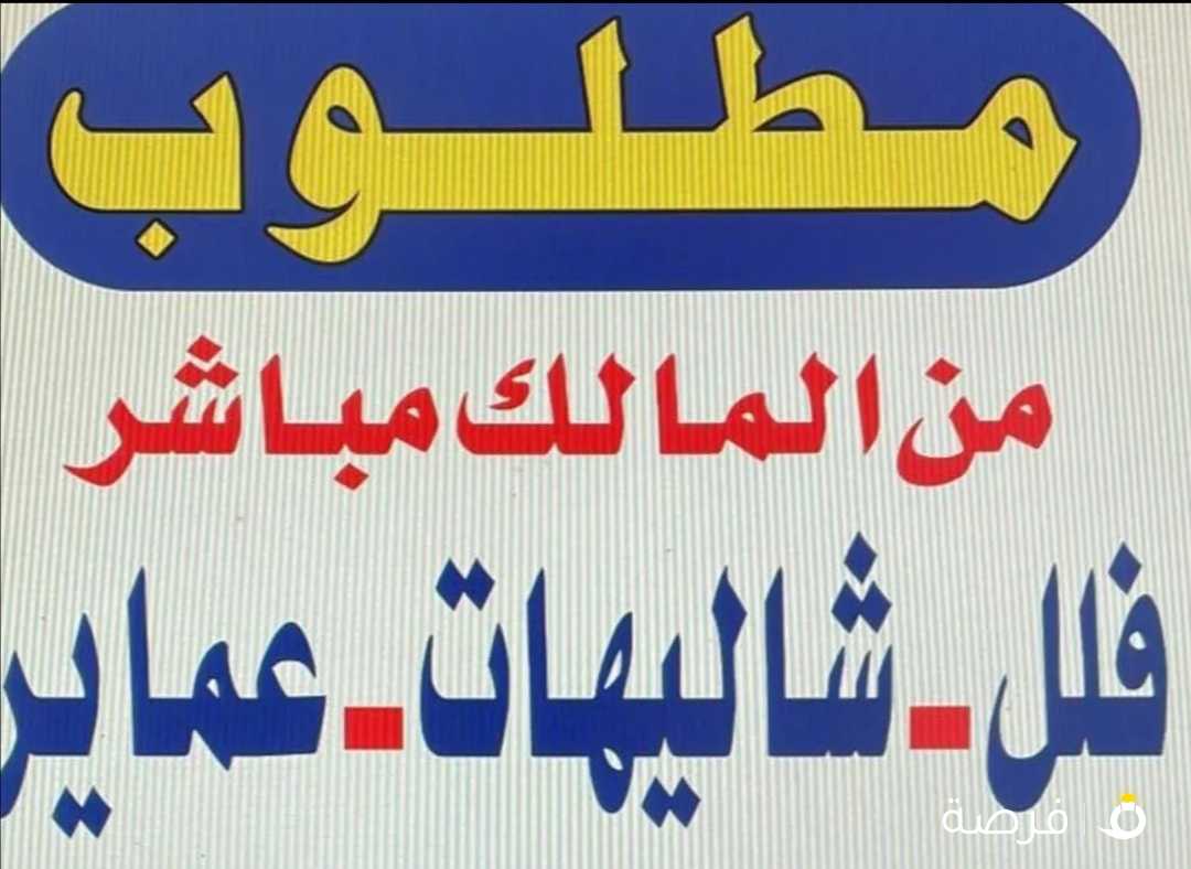 مطلوب للإيجار شقة بجنوب عبدالله مبارك قطعة 6