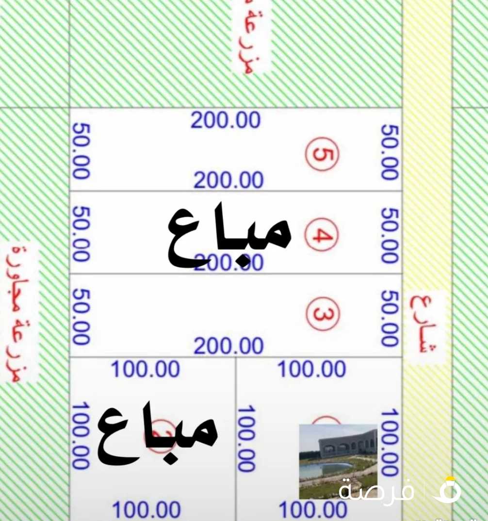 للبيع مزارع بالوفرة 10 آلاف طريق 500 جنوب مزرعة سمو الأمير تحويل رسمى شركات نباتية